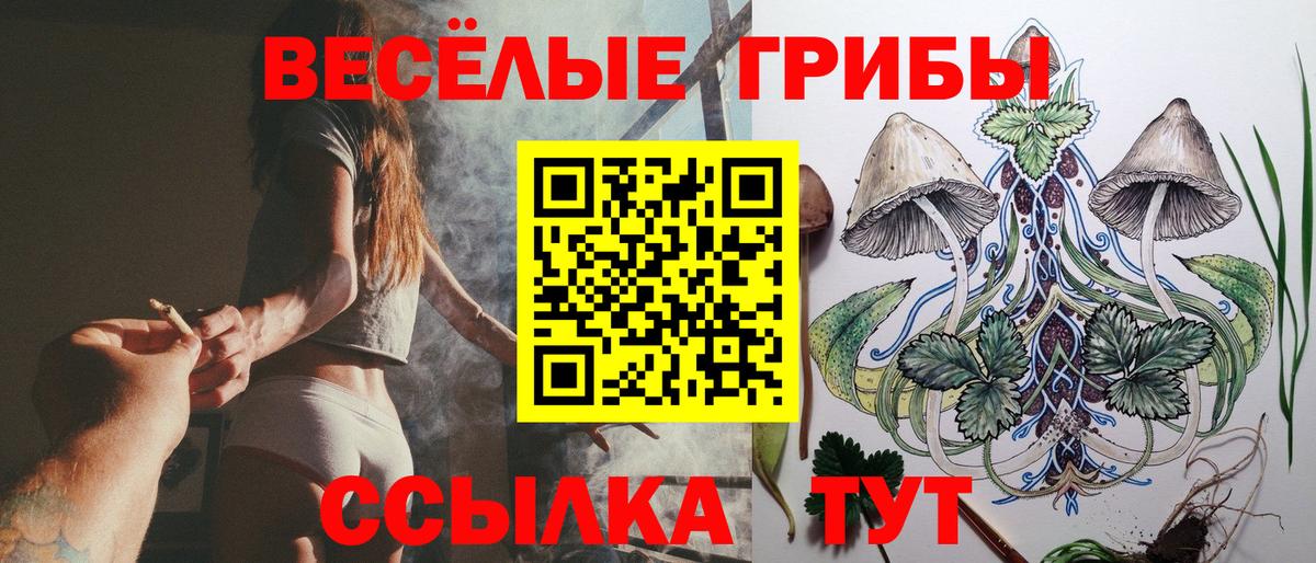 Биробиджан  Галлюциногенные грибы прущие грибы  Вход с VPN 