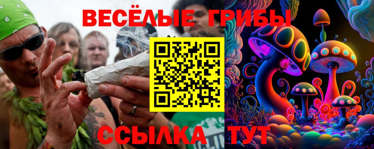 Псилоцибиновые грибы мухоморы Биробиджан